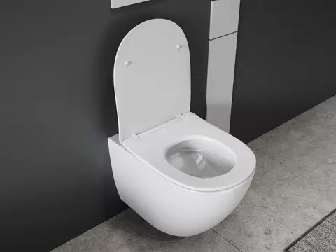 Aqua Bagno Spülrandloses WC Silk inkl. WC-Sitz -...