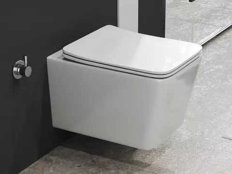 Aqua Bagno Delta 2.0 Spülrandloses Dusch-WC inkl....
