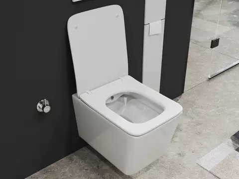 Aqua Bagno Delta 2.0 Spülrandloses Dusch-WC inkl....