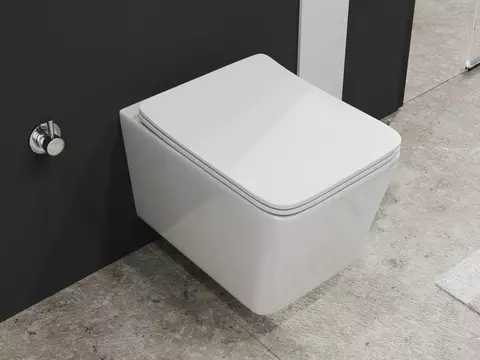 Aqua Bagno Delta 2.0 Spülrandloses Dusch-WC inkl....