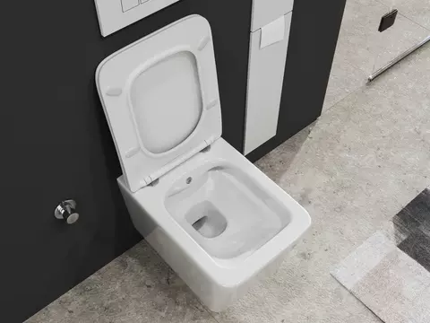 Aqua Bagno Delta 2.0 Spülrandloses Dusch-WC inkl....