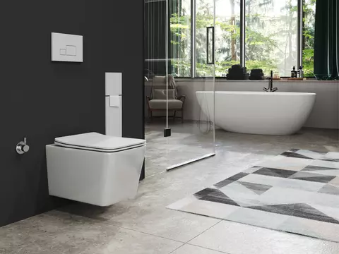 Aqua Bagno Delta 2.0 Spülrandloses Dusch-WC inkl....
