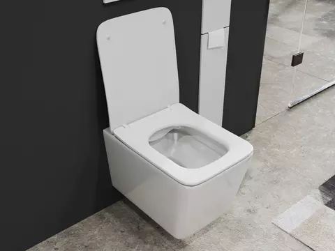 Aqua Bagno Delta 2.0 Spülrandloses WC inkl. WC-Sitz...