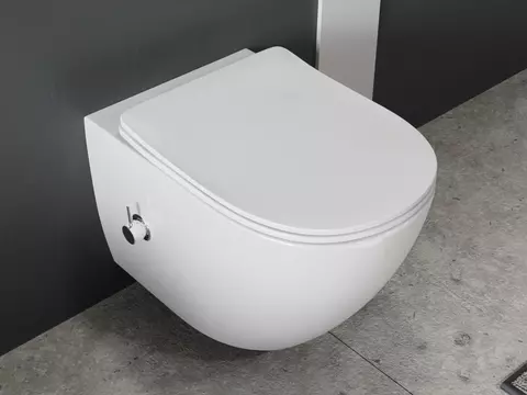 Wand Dusch WC Taharet - spülrandlos - mit...