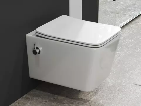 Aqua Bagno Delta 2.0 Spülrandloses Dusch-WC inkl....