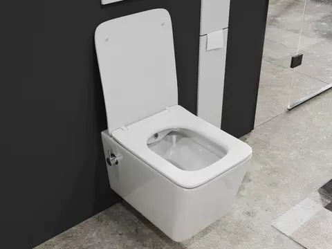 Aqua Bagno Delta 2.0 Spülrandloses Dusch-WC inkl....