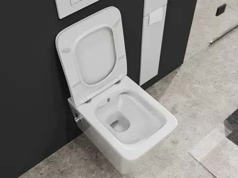 Aqua Bagno Delta 2.0 Spülrandloses Dusch-WC inkl....