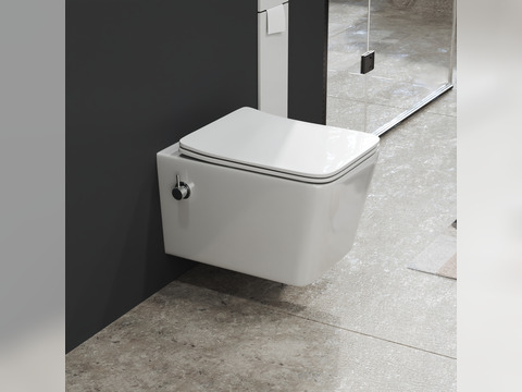 Aqua Bagno Delta 2.0 Spülrandloses Dusch-WC inkl....