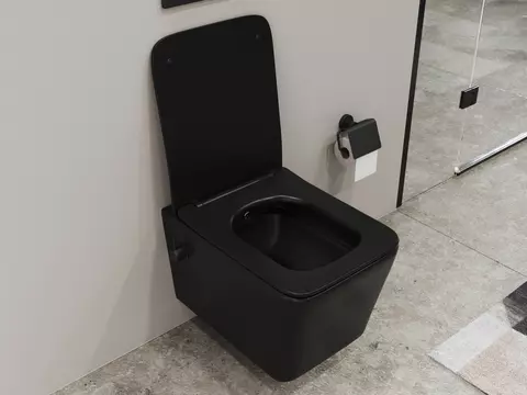 SSWW by Aqua Bagno Delta 2.0 Spülrandloses Dusch-WC...