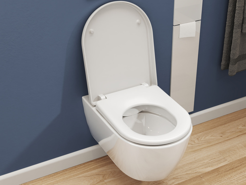 Wand H&auml;nge WC Toilette - sp&uuml;lrandlos - inkl. abnehmbaren Softclose Toiletten-Sitz - Keramik - CT-2039.54
