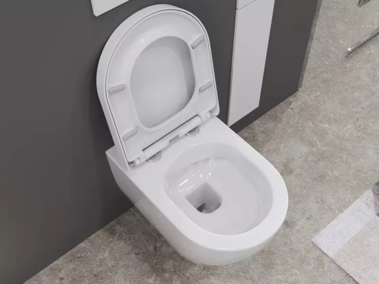 Offene Toilette
